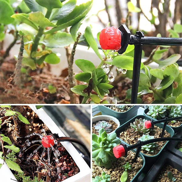 HydroMist™ — Perfekte Pflanzenfeuchtigkeit für einen Garten, der vor Leben sprüht
