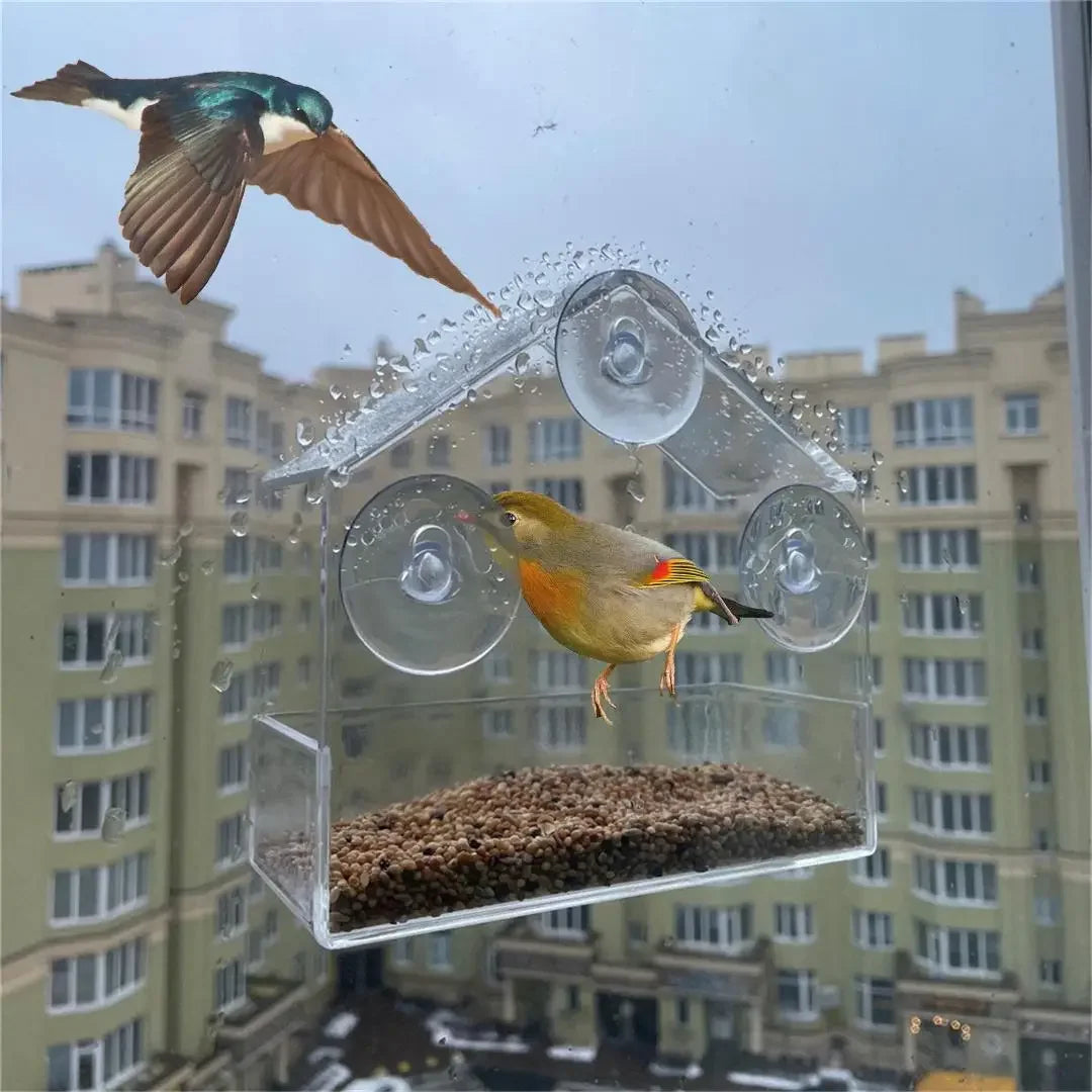 Vogelfutterhaus Fenster mit Saugnapf – transparentes Futterhaus aus Acryl für Wildvögel, 15 × 15 cm
